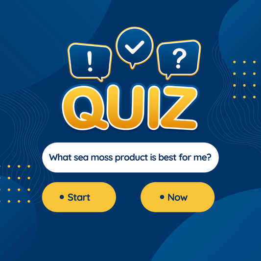 Finding the Right Sea Moss Product