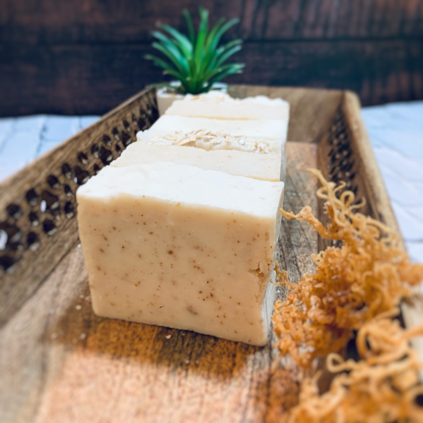 Sea Moss All Natural Bar Soaps Multipack | Oatmeal | Turmeric | Plain Jane