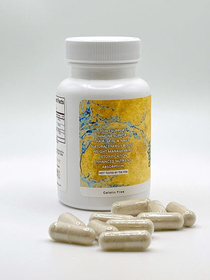 WholyTrinity Sea Moss Capsules | with Bladderwrack and Burdock Root | 60 pills | Recurring Delivery
