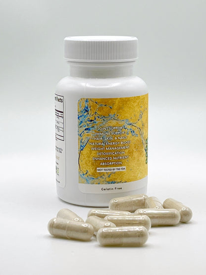 WholyTrinity Sea Moss with Bladderwrack and Burdock Root | 60 capsules