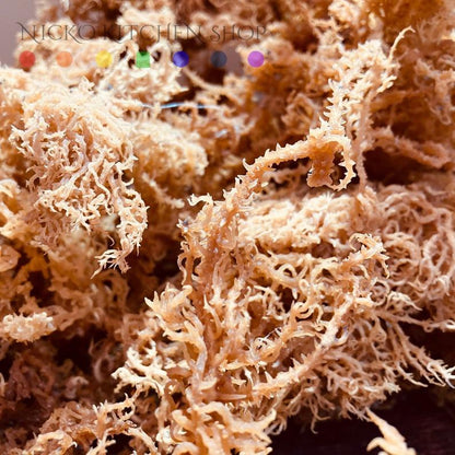 Dehydrated Wildcrafted Sea Moss | 100% Wildcrafted | Irish Moss