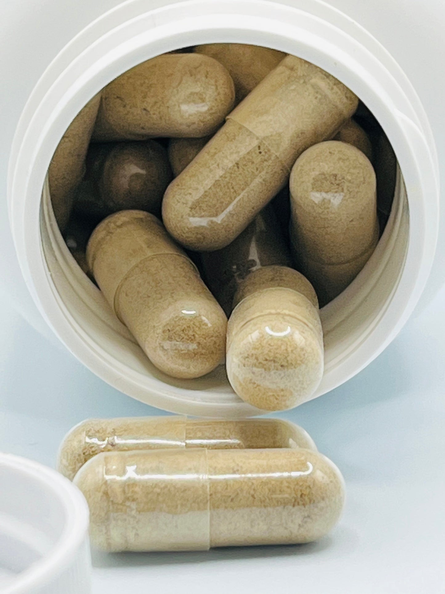 WholyTrinity Sea Moss with Bladderwrack and Burdock Root | 60 capsules